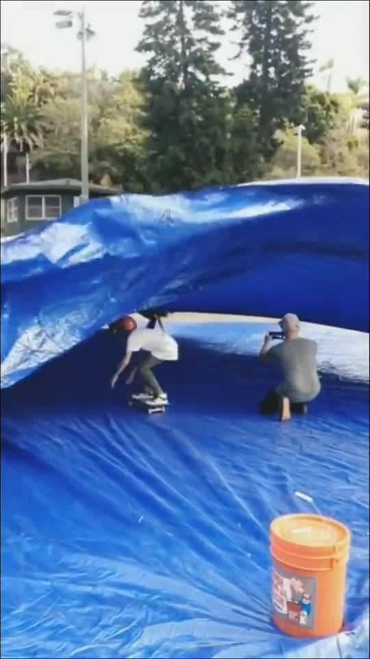 生化危机：浣熊市行动